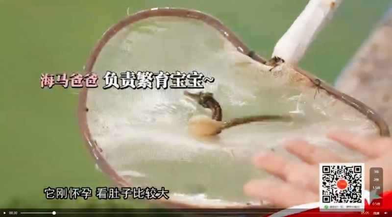 良种繁育 · 合规标识